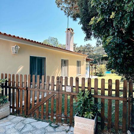 Casa Girassol With A Beautiful Private Pool And Garden Villa Sintra Luaran gambar