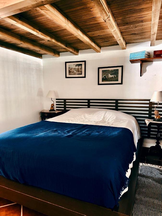 Casa Girassol With A Beautiful Private Pool And Garden Villa Sintra Luaran gambar